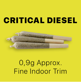 CBD Stick Queen Size – Critical Diesel