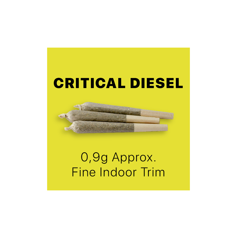 CBD Stick Queen Size – Critical Diesel