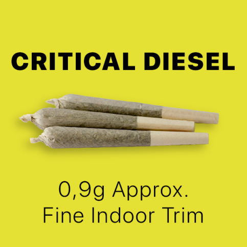 CBD Stick Queen Size – Critical Diesel