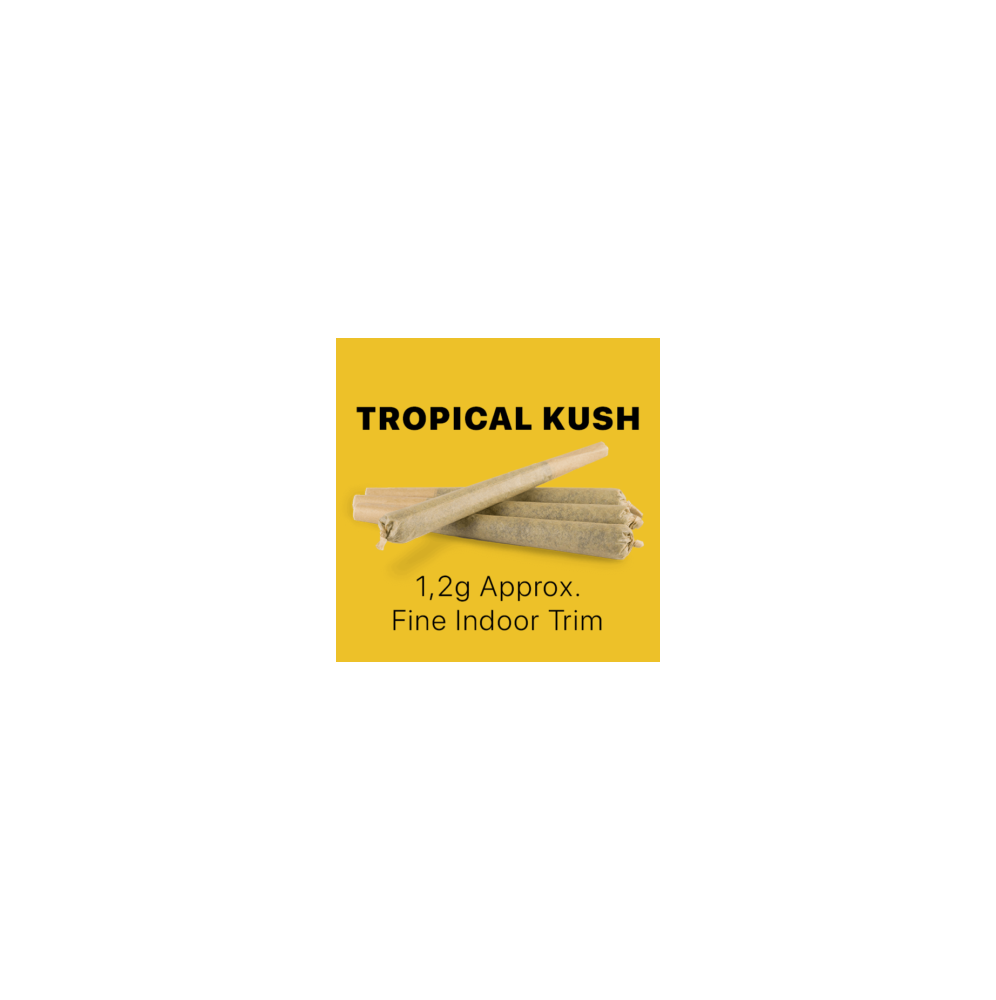 CBD Stick King Size – Tropical Kush