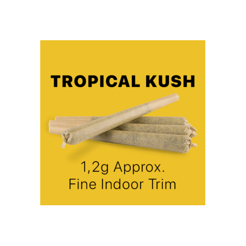 CBD Stick King Size – Tropical Kush