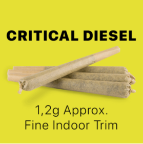 CBD Stick King Size – Critical Diesel