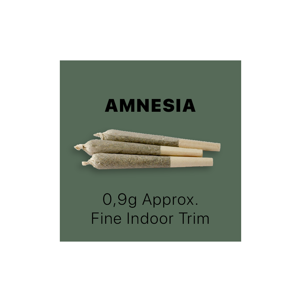 CBD Stick Queen Size Amnesia