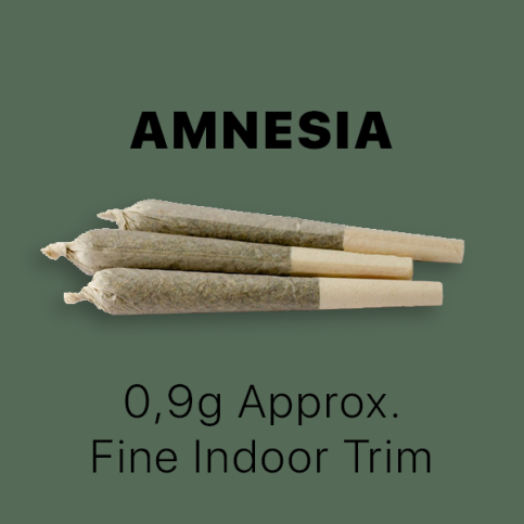 CBD Stick Queen Size Amnesia