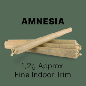 CBD Stick king Size – Amnesia (100pcs)