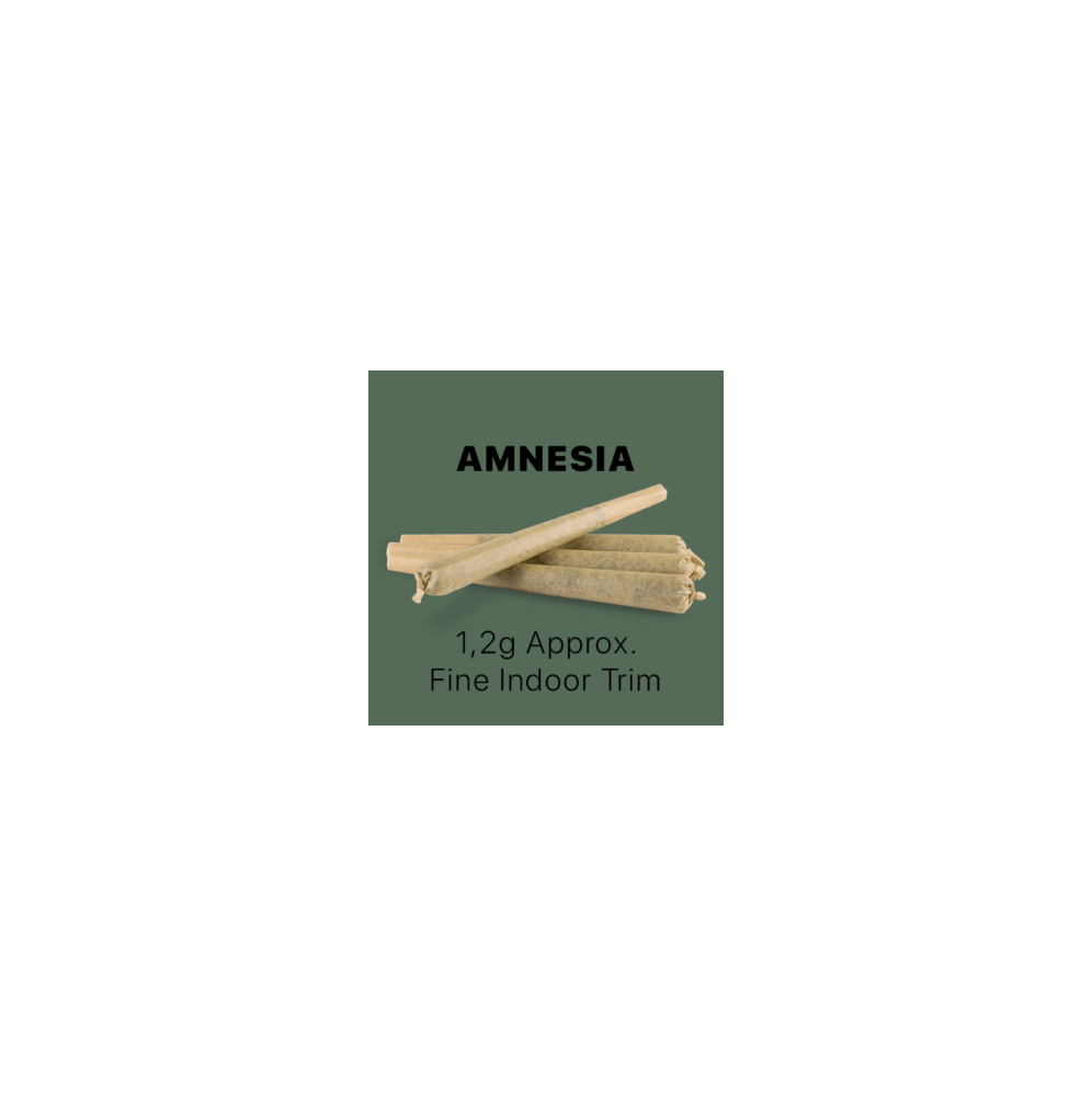 CBD Stick king Size – Amnesia (100pcs)