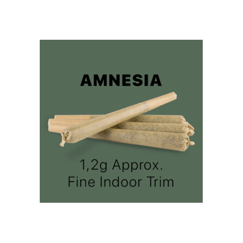 CBD Stick king Size – Amnesia (100pcs)